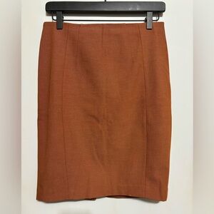 Express Pencil Skirt
